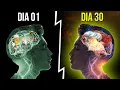 Download Lagu Como Reprogramar a Sua Mente Para o Sucesso (Dr.  Joe Dispenza)