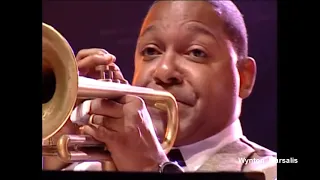 La Paloma Trumpet And Accordion 