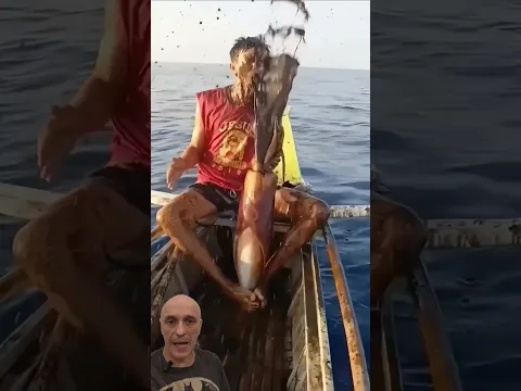 O QUE ACONTECEU COM ESSA LULA? Pergunte ao Biólogo Guilherme Domenichelli#animaltv #animals #sharks