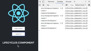 React Life Cycle Methods Updating Complete React Developer in 2020 w Redux Hooks Grap L