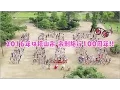 Download Lagu 心のプラカード 福山市市制施行100周年 Ver. / AKB48[公式]
