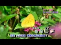忘れてほしい  字義版