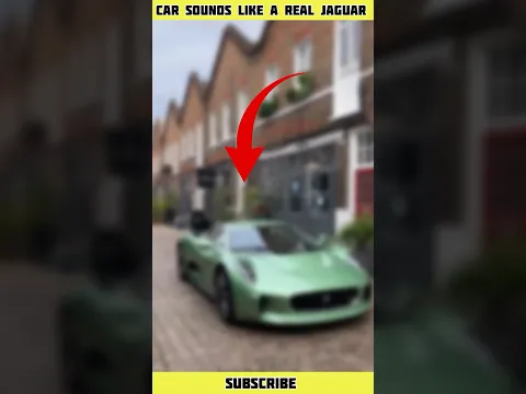 This jaguar sounds like a real jaguar😱 #shorts #shortvideo #viral #facts