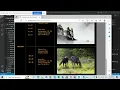 Comp 2406 Tutorial 6