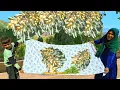 Download Lagu I helped a homeless mother find elderberry trees.