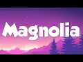 Lagu Magnolia  (lyrics) - Playboi Carti (Lyrics)