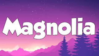 magnolia lyrics playboi carti lyrics 
