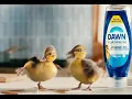 Dawn Platinum Commercial 2026 New and Improved Ad