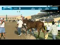 Amorita wins the Daisycutter Handicap race 9 at Del Mar 26