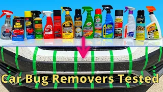 Bug Removers for Cars Tested Before and After Comparisons