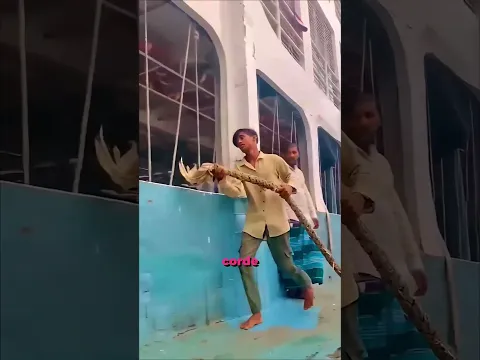 Ce Travail Extrêmement Dangereux Peut Lui Coûter La Vie !😱🚢