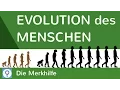 Download Lagu Evolution des Menschen - einfach erklärt! + Wasseraffen- \u0026 Savannentheorie | Evolution 25