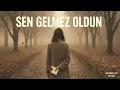 Sen Gelmez Oldun | Anatolian Rock Cover