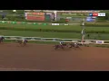 GOLDEN TEMPO is the Belmont Stakes and Kentucky Derby champion