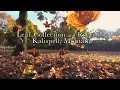Leaf Collection and Recycling Kalispell Montana