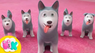 On yavru köpeğim var 🐶 10'dan 1'e Gerisayım ve Sayı Öğrenme | HeyKids - Türkçe Çocuk Şarkıları