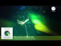 Marco Torrance & Natasha Jaffe - Fragile (Trance Mix)