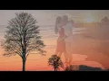 The Lady in Red - Chris Deburgh :  with Lyrics(가사번역) || 빨간옷의 여인