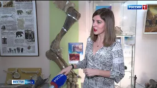 В Омском Краеведческом музее открылась выставка «Мегафауна»