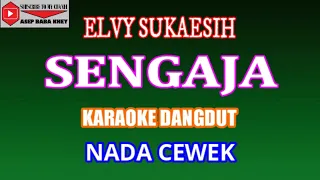 karaoke dangdut sengaja elvy sukaesih cover nada cewek