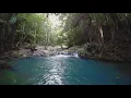 Scenic Relaxation Film Currumbin Valley Mt Cougal Cascades Gold Coast Australia EP 1