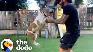 This Dog Is 100 Proof You Can T Judge A Book By Its Cover The Dodo 