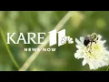KARE 11 News Now Afternoon Edition - Nov 14