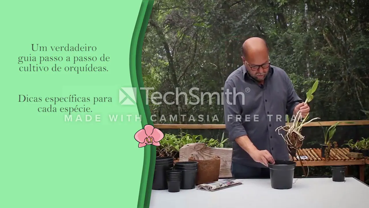 COMO CUIDAR DE ORQUIDEAS