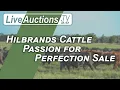 Hilbrands Cattle Passion for Perfection Sale