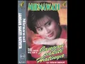 Download Lagu jangan sakiti hatinya_ minawati