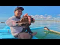 Download Lagu Mancing Ikan Katambak Mancing Santai