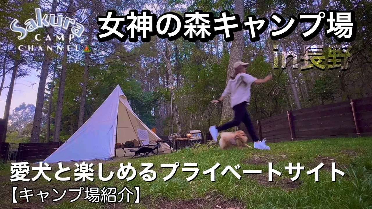 【高規格キャンプ場】長野県に新規オープンしたおすすめキャンプ場 サムネイル