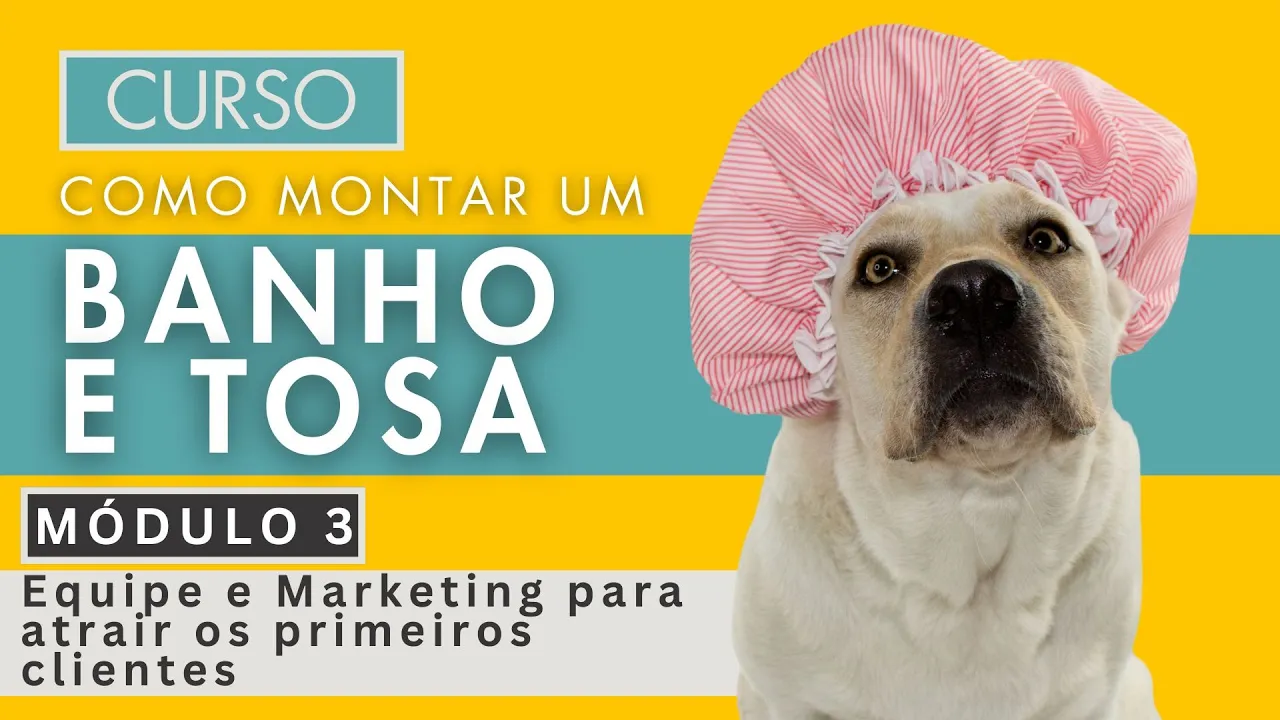 Curso Como Montar um Banho e Tosa - Módulo 3 - Equipe e Marketing para atrair os primeiros clientes.