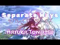 Download Lagu Sword Art Online II Opening 3 Full - Separate Ways by Haruka Tomatsu