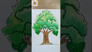 رسم سهل عن تعليم كيفية رسم شجرة بالخطوات Mazaganart رسم سهل Drawing 