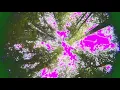 PLAYTHATBOIZAY - POISON KLAN FT DENZEL CURRY & ANONYMUZ (OFFICIAL VIDEO)