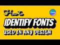 How to IDENTIFY FONTS Used in ANY Design with Canva