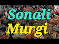 Download Lagu Sonali Murgi