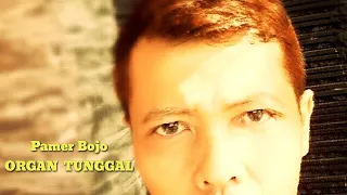 Download PAMER BOJO COVER ORGAN TUNGGAL || MIDI Instrumen MP3