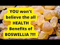 Download Lagu Boswellia Serrata: What is Boswellia Serrata? Boswellia Serrata Benefits