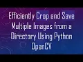 Efficiently Crop and Save Multiple Images from a Directory Using Python OpenCV