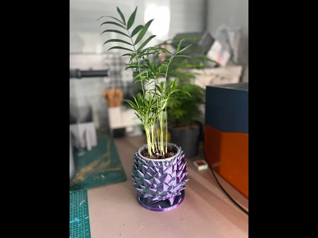 Dragon Egg / Pine Cone Pot video thumbnail