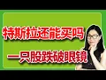 Lagu 美股：特斯拉突破后还能买吗，CRCL大利好暴跌破眼镜。【2025-12-15】