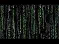 CPP Prime Numbers Program