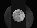 Live moon 🌒 #moon #trending #short #shorts #astrophotography #photoshoot