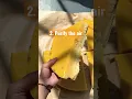 Download Lagu 3 amazing benefits of beeswax candles!