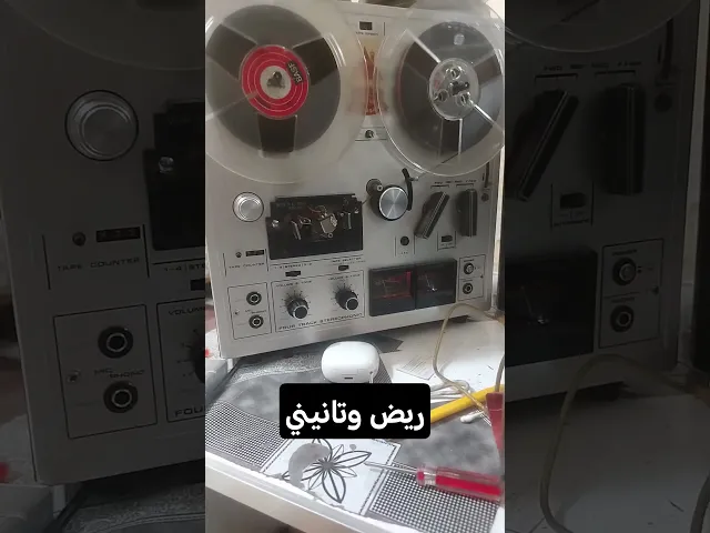 ⁣#حمزه_الزغير ريض وتانيني يالمهر حاچيني