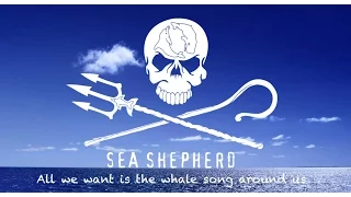 Download All we want is the whale song around us. MP3