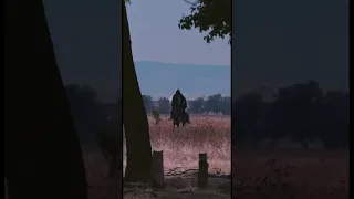 ستوري حمادة نشواتي جديد أغنية يا فرس ع الطريق كيف الحماس للجديد غوالي 2025 لا يفوتكم حمادة 