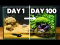Jungle ecosystem simulation for 100 days out of control